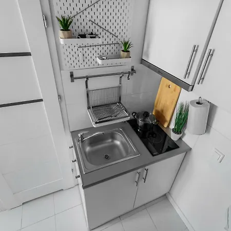 Powisle Luminous Studio Apartment *